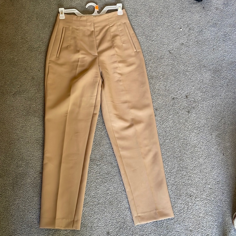Zara Pleated Straight Leg Business Pant